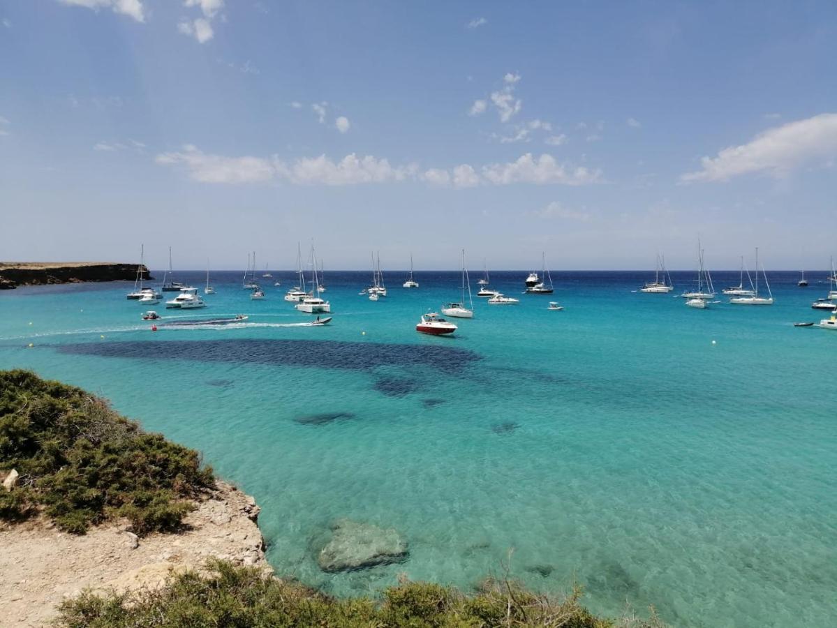 Port Pollensa Pins Apartment Sea View Port de Pollença Dış mekan fotoğraf